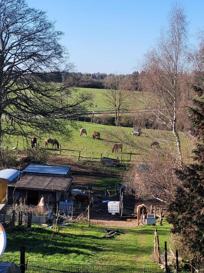 Ferienwohnung Classen Eifel Schleiden Eksteriør billede